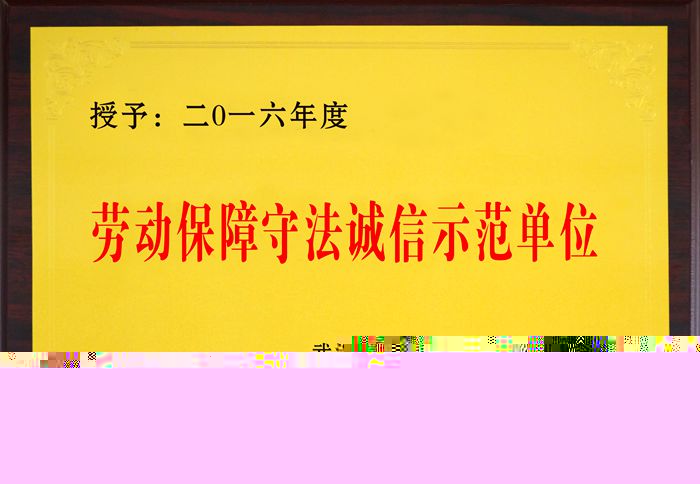 祝賀公司榮獲“2016年度武漢市勞動保障守法誠信示范單位”